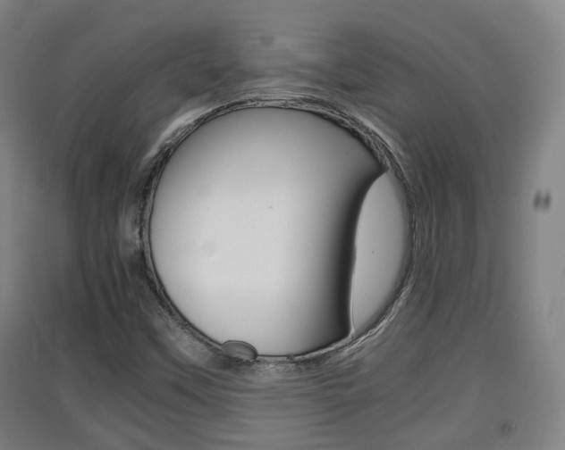 X0000091551451200708171031