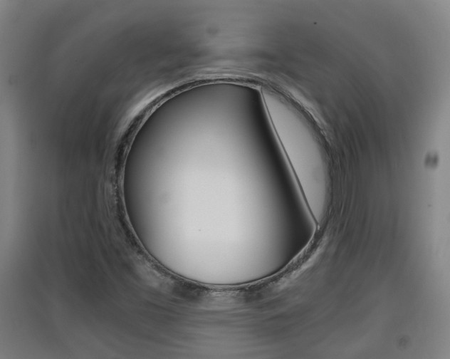 X0000091551453200708171031