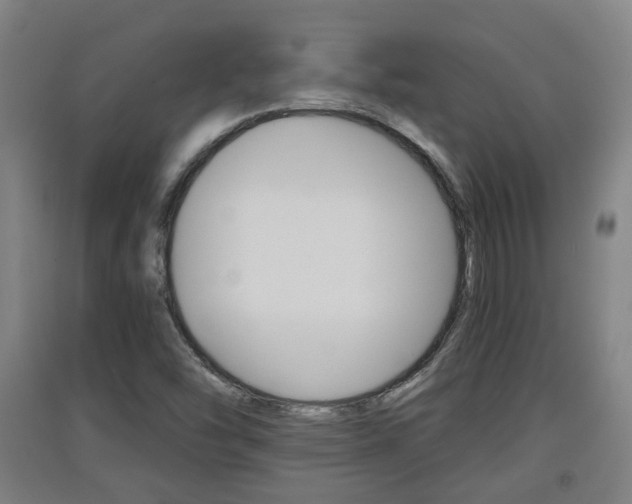 X0000091551454200708171031