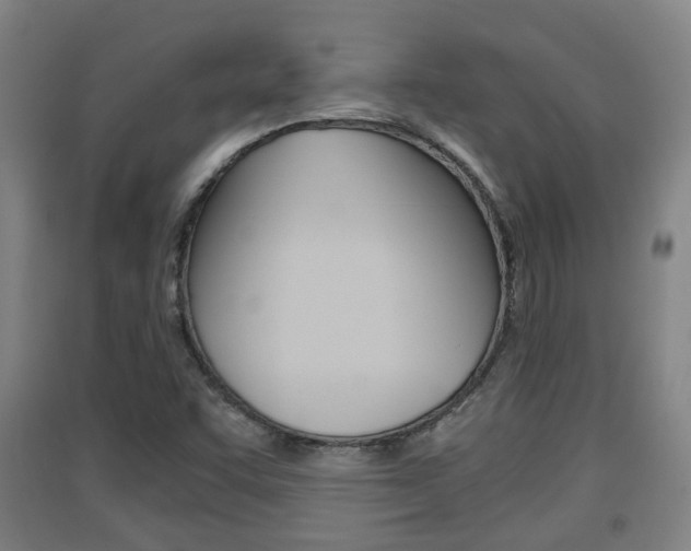 X0000091551455200708171031