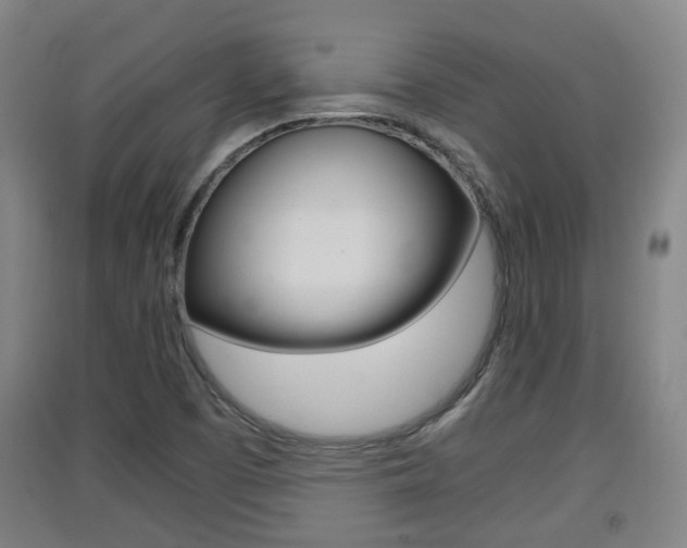 X0000091551457200708171031