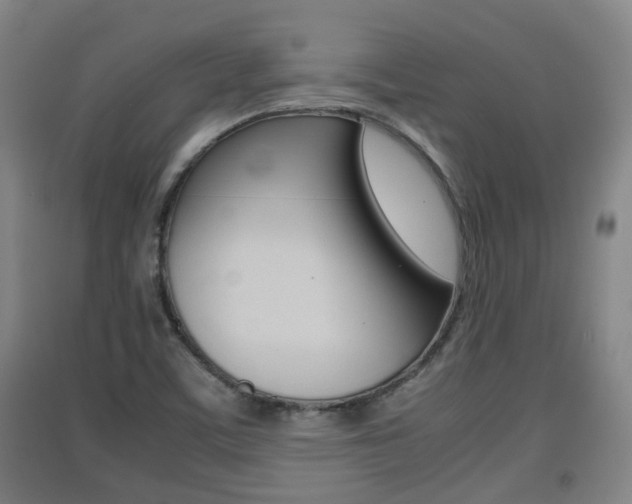 X0000091551459200708171031