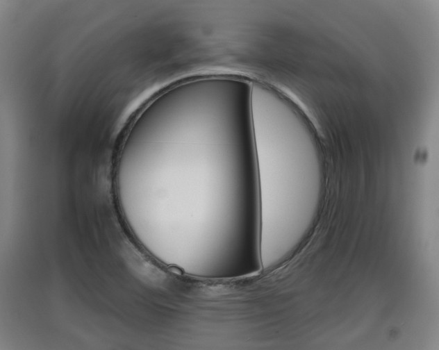 X0000091551460200708171031