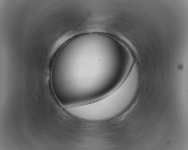 X0000091551461200708171031