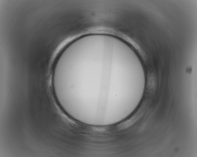 X0000091551462200708171031