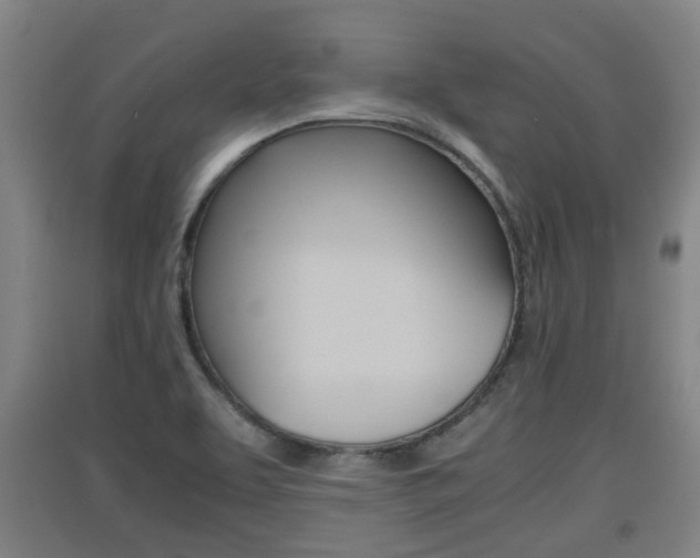 X0000091551463200708171031