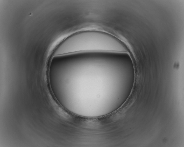 X0000091551464200708171031