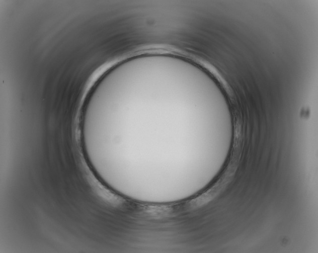 X0000091551466200708171031