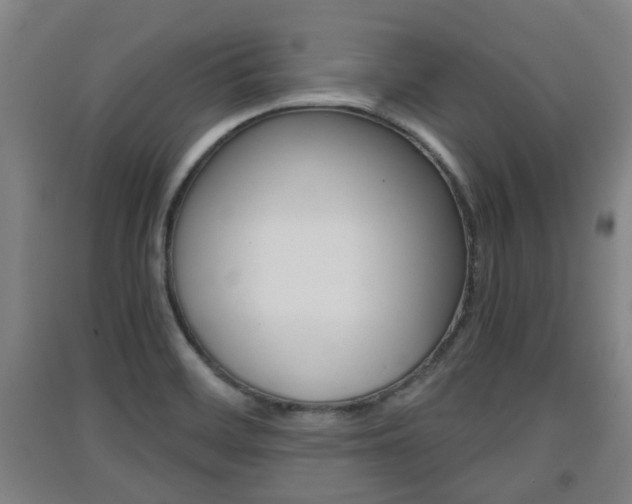 X0000091551468200708171031