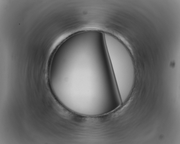 X0000091551469200708171031