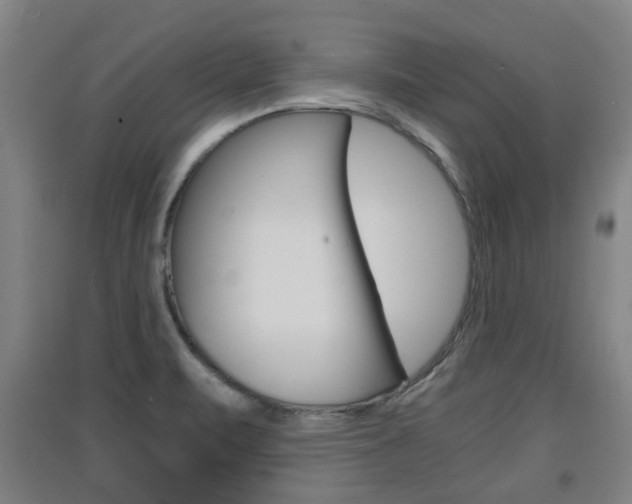 X0000091551471200708171031