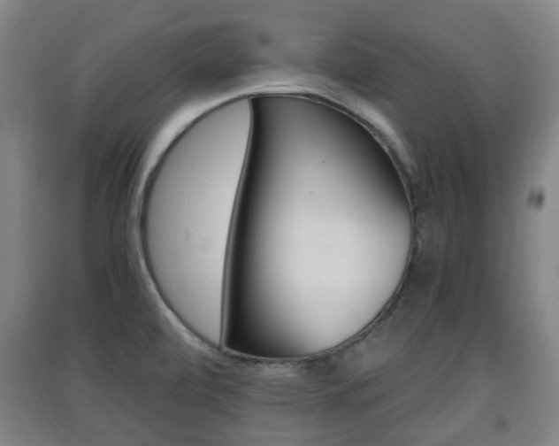 X0000091551472200708171031