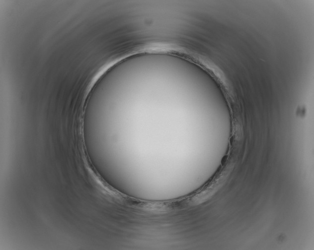 X0000091551473200708171031