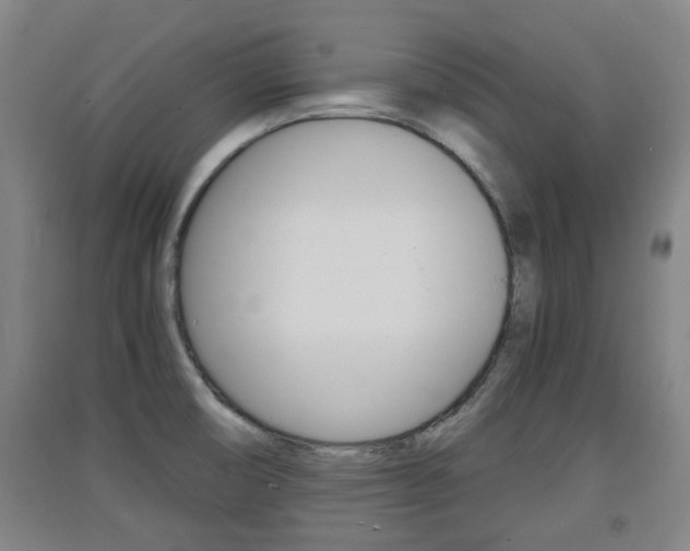 X0000091551474200708171031