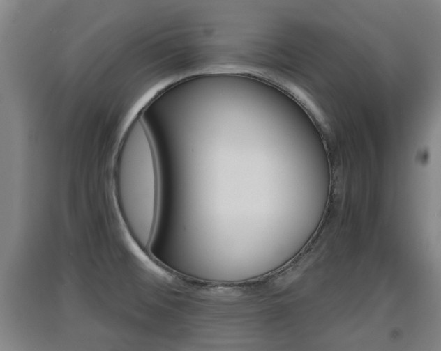 X0000091551476200708171031