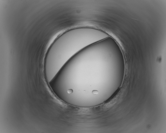 X0000091551477200708171031