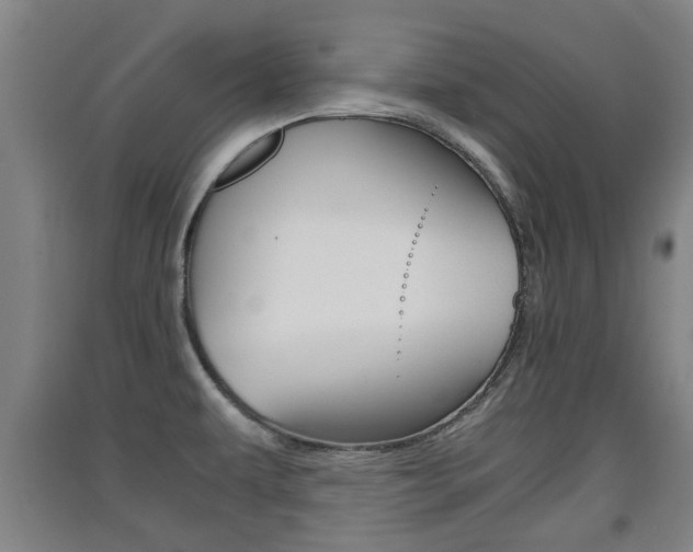 X0000091551479200708171031