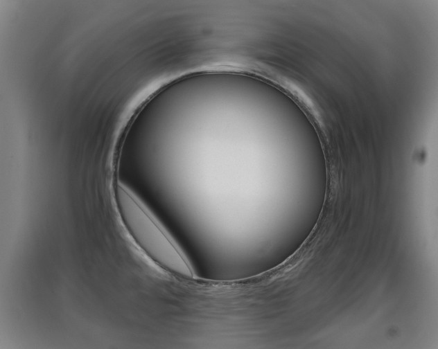 X0000091551480200708171031