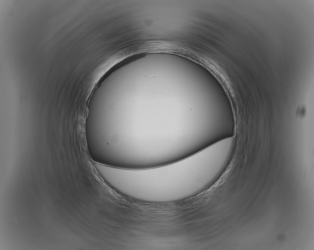 X0000091551481200708171031