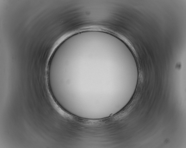 X0000091551482200708171031