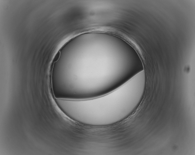 X0000091551483200708171031