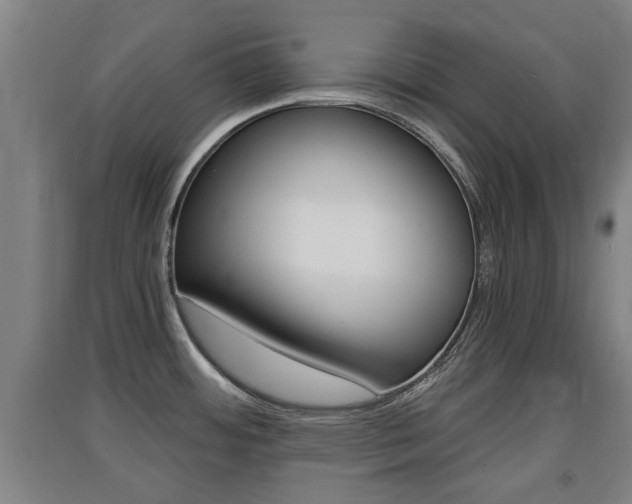 X0000091551484200708171031