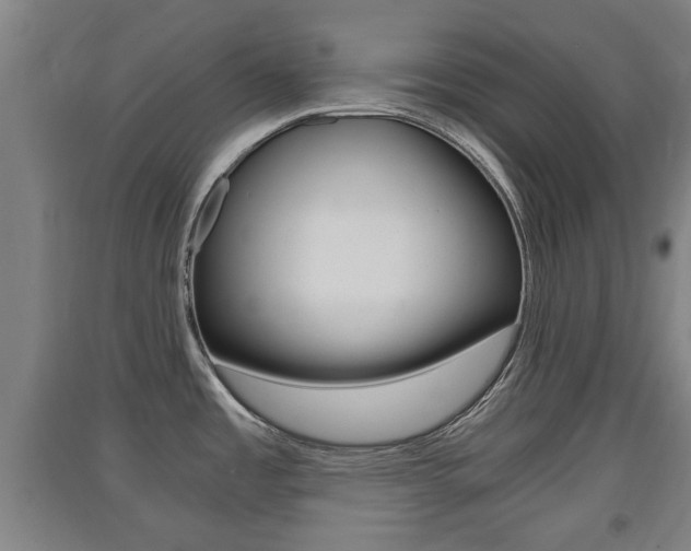 X0000091551485200708171031