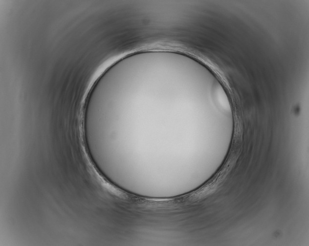 X0000091551486200708171031