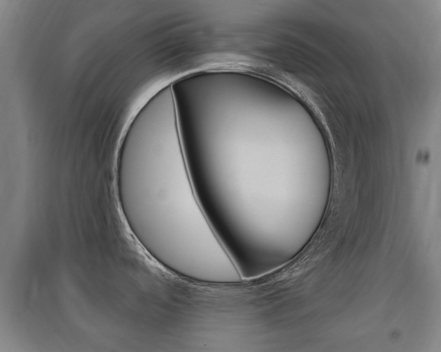 X0000091551488200708171031