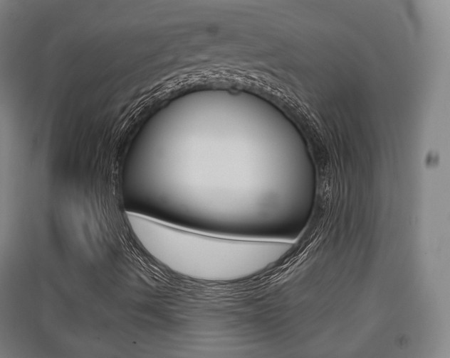 X0000091551490200708171030