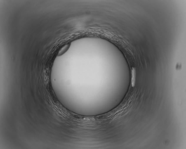 X0000091551491200708171030