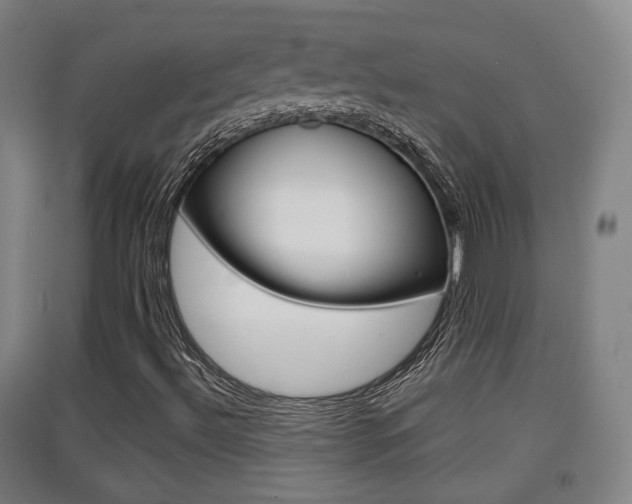 X0000091551492200708171030
