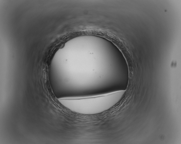 X0000091551493200708171030