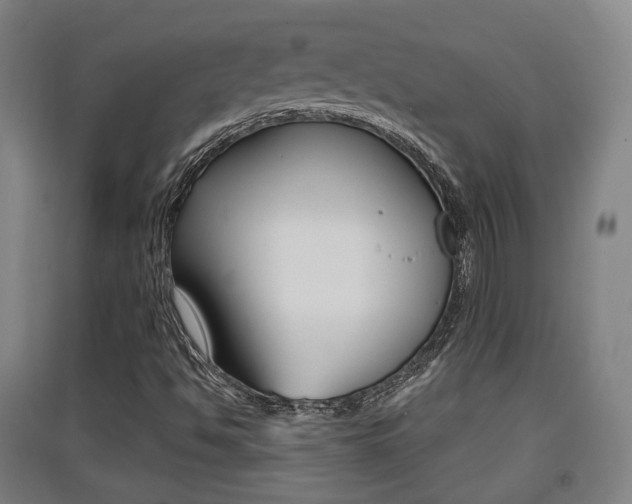 X0000091551494200708171030