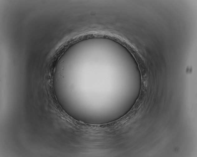 X0000091551495200708171030