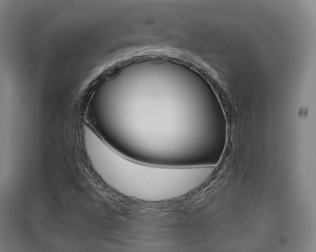 X0000091551496200708171030