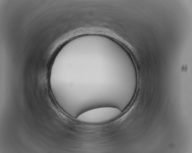 X0000091551498200708171030