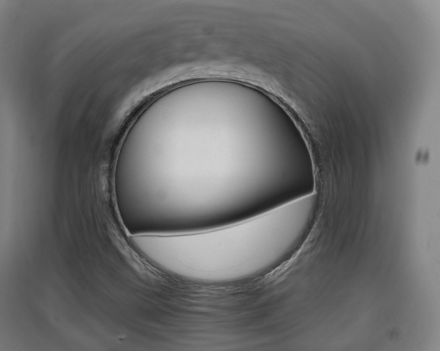 X0000091551499200708171030