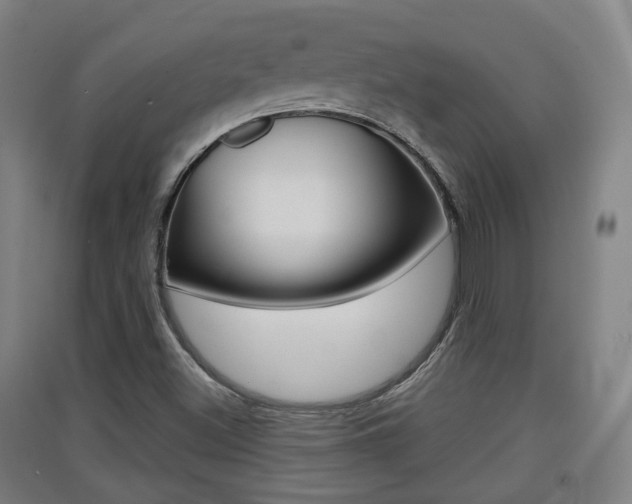 X0000091551500200708171030