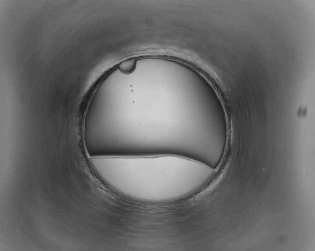 X0000091551501200708171030