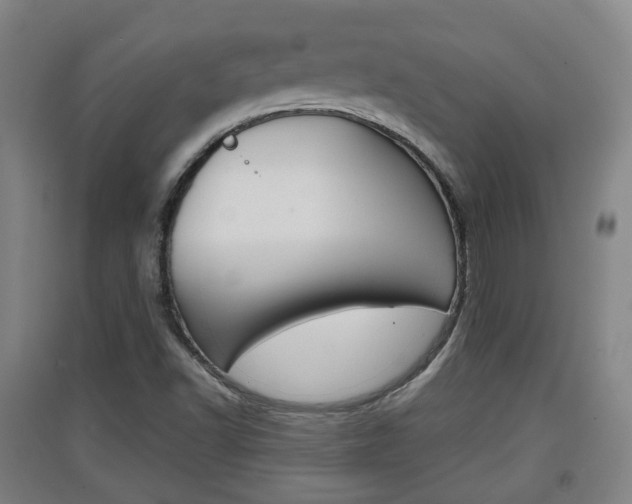X0000091551502200708171030