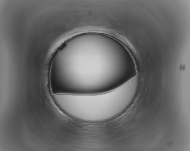 X0000091551504200708171030