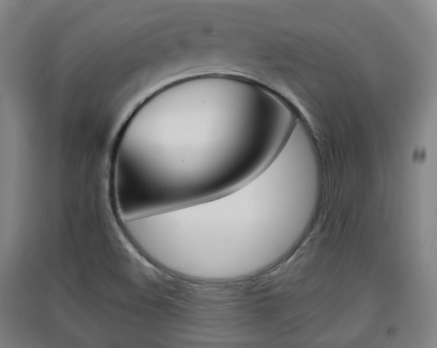 X0000091551508200708171031