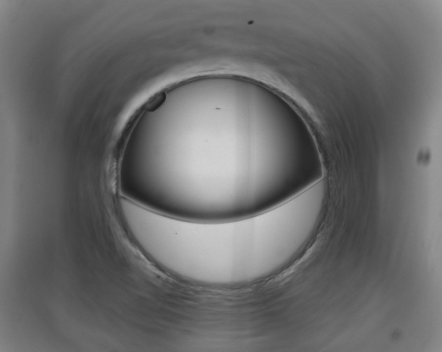 X0000091551510200708171031
