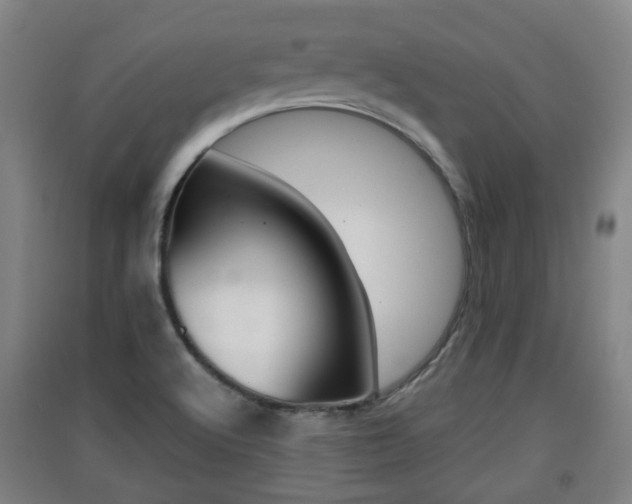 X0000091551512200708171031