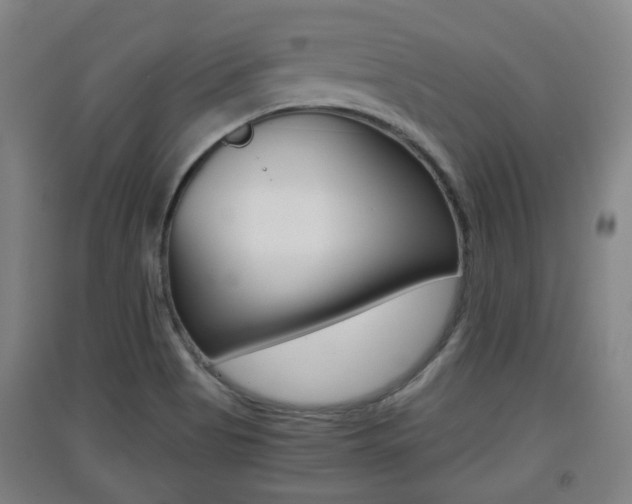X0000091551513200708171031