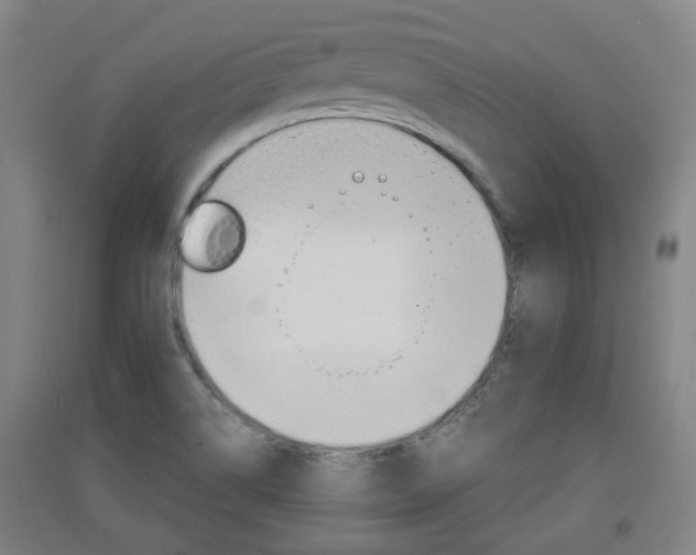X0000091551514200708171031