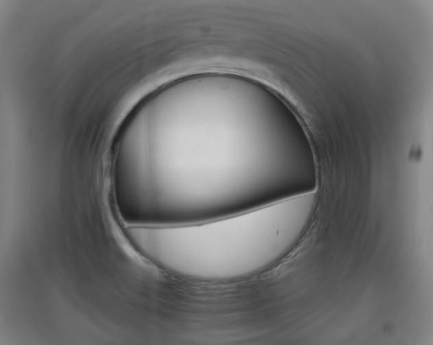 X0000091551515200708171031