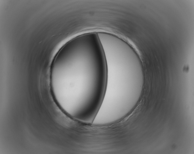 X0000091551516200708171031