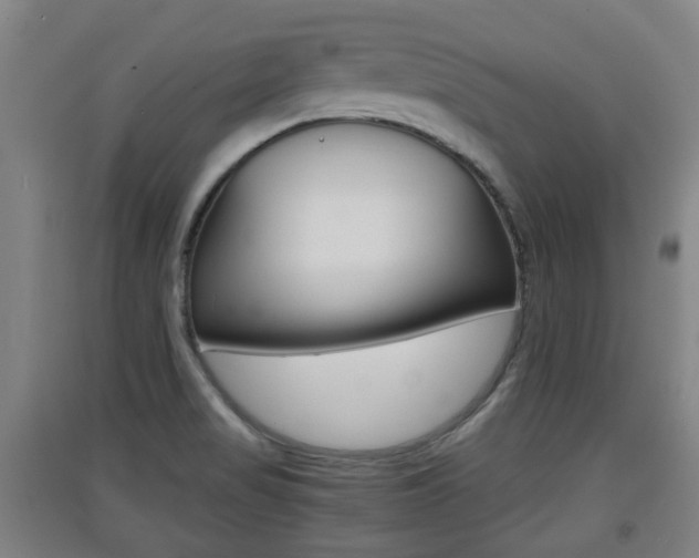 X0000091551517200708171031